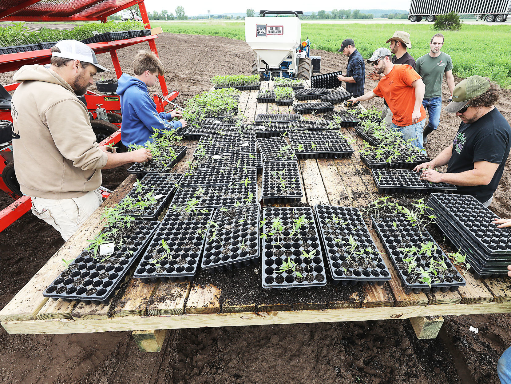 A hemp revival